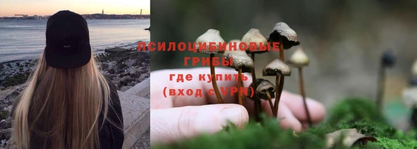 ALPHA-PVP Алексеевка