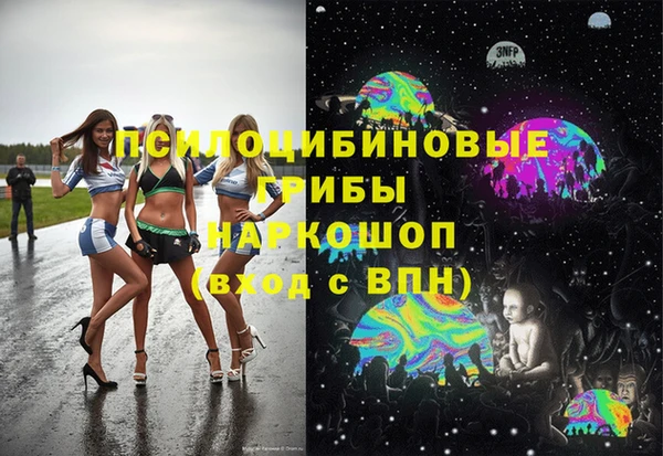 Альфа ПВП Алзамай