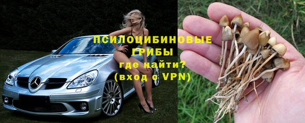 ALPHA-PVP Алексеевка