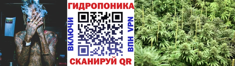 ссылка на мегу вход Муравленко Марихуана планчик